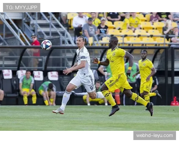 波尔图队欧战表现稳健，竞争力逐步显现引关注