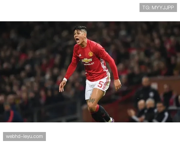 萨卡为何几乎没有低谷:稳定性解析 萨卡为何几乎没有低谷:稳定性解析